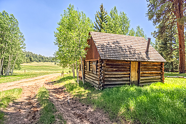 An abandoned homestead in the Kaibab National Forest off of Highway 67 north of Grand Canyon North Rim Arizona. Public land. No property release needed. Preserved by Forest Service as a historical landmark.