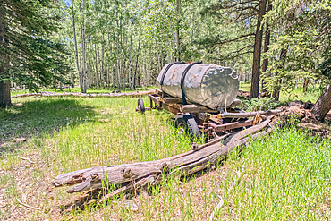An abandoned homestead in the Kaibab National Forest off of Highway 67 north of Grand Canyon North Rim Arizona. Public land. No property release needed. Preserved by Forest Service as a historical landmark.
