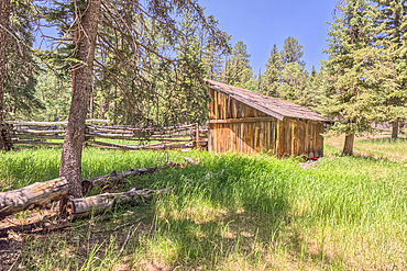 An abandoned homestead in the Kaibab National Forest off of Highway 67 north of Grand Canyon North Rim Arizona. Public land. No property release needed. Preserved by Forest Service as a historical landmark.