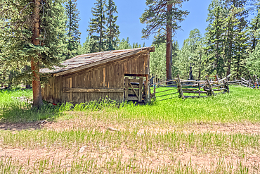 An abandoned homestead in the Kaibab National Forest off of Highway 67 north of Grand Canyon North Rim Arizona. Public land. No property release needed. Preserved by Forest Service as a historical landmark.