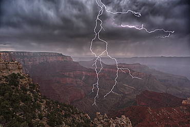 Lightning striking directly overhead viewed from the Walhalla Overlook on Grand Canyon North Rim Arizona.