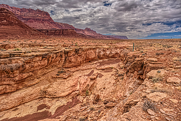 View of a small slot canyon called Jackass Creek off of US89A next to Echo Cliffs on the way to Vermilion Cliffs Arizona. Located on the Navajo Indian Reservation between Bitter Springs and Marble Canyon.