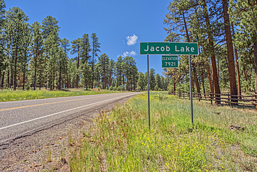 A sign marking the boundary of Jacob Lake, a settlement within the Kaibab National Forest in northern Arizona.