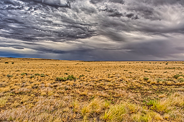 View of storm clouds rolling over prairie grassland in northern Arizona near Wupatki National Monument.