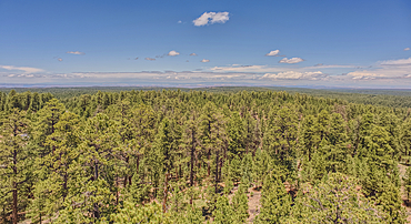 View from the 80 foot tall historic Fire Watchtower at Jacob Lake Arizona. Maintained as a historic landmark by the National Forest Service. No property release needed.