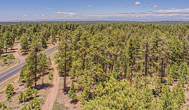 View from the 80 foot tall historic Fire Watchtower at Jacob Lake Arizona. Maintained as a historic landmark by the National Forest Service. No property release needed.