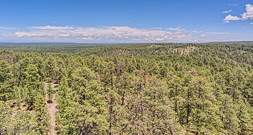 View from the 80 foot tall historic Fire Watchtower at Jacob Lake Arizona. Maintained as a historic landmark by the National Forest Service. No property release needed.