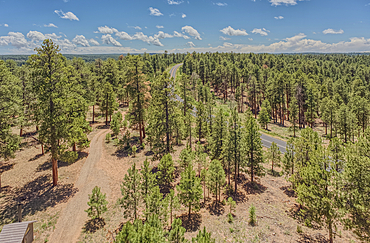View from the 80 foot tall historic Fire Watchtower at Jacob Lake Arizona. Maintained as a historic landmark by the National Forest Service. No property release needed.