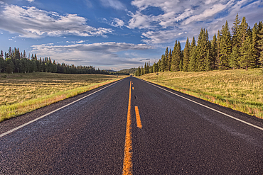 Highway 67 facing north in Pleasant Valley of Kaibab National Forest Arizona near sundown after a rain. North of Grand Canyon North Rim.