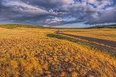 Highway 67 facing south in Pleasant Valley of Kaibab National Forest Arizona near sundown after a rain. North of Grand Canyon North Rim.