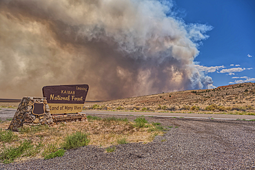 Smoke from the Dragon Bravo Wildfire burning on Grand Canyon North Rim billowing off the Kaibab Plateau. Viewed from US89A at the Kaibab National Forest Boundary.