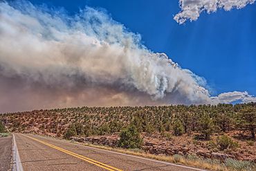 Smoke from the Dragon Bravo Wildfire burning on Grand Canyon North Rim billowing off the Kaibab Plateau. Viewed from US89A.