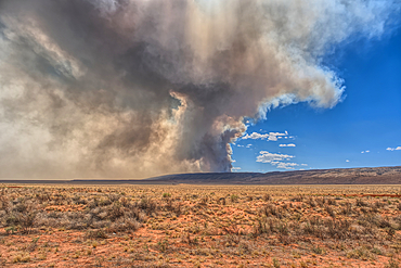Smoke from the Dragon Bravo Wildfire burning on Grand Canyon North Rim billowing off the Kaibab Plateau. Viewed from US89A across from Vermilion Cliffs.