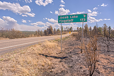 Road sign along US89A north of Jacob Lake Arizona that has been partially damaged by the White Sage Fire.