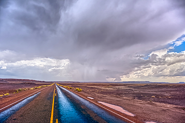 The main road thru Petrified Forest National Park Arizona on a rainy day.