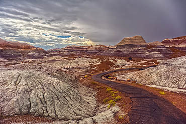 A paved trail leading below Blue Mesa in Petrified Forest National Park Arizona on a rainy day.