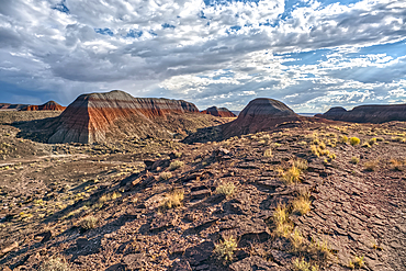Northside view of the Teepees at Petrified Forest National Park Arizona.