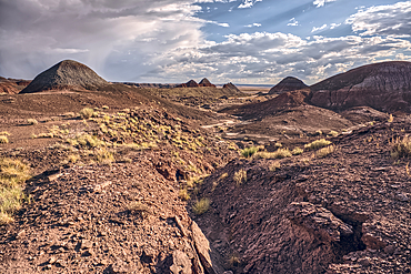 Northside view of the Teepees at Petrified Forest National Park Arizona.