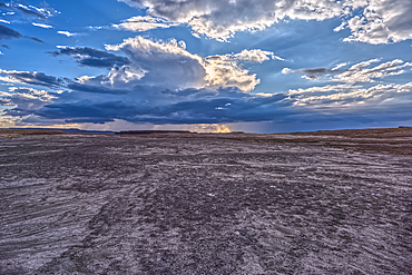 Building storm approaching Petrified Forest National Park Arizona. Viewed from a gray plain south of the Teepees.