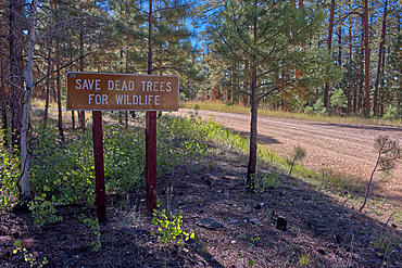 A sign on FSR217 west of SR67 in the Kaibab National Forest of Arizona. The sign instructs loggers to save dead trees for the local wildlife.