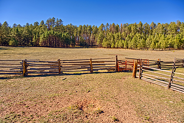 An old cattle corral in the bottom of currently dry Murrays Lake in the Kaibab National Forest of Arizona.