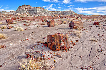 Shattered pieces of petrified wood in a sandy wash in the Jasper Forest of Petrified Forest National Park, Arizona, United States of America, North America