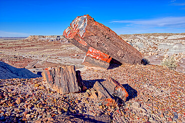 Large pieces of petrified wood in the Jasper Forest of Petrified Forest National Park, Arizona, United States of America, North America