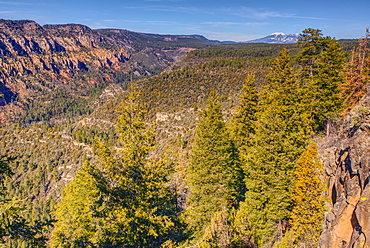 View of San Francisco Peaks from a cliff at the end of the Telephone Trail north of Sedona with Oak Creek Canyon on the left, Arizona, United States of America, North America