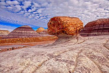 A large petrified log along the Blue Mesa Trail in Petrified Forest National Park, Arizona, United States of America, North America