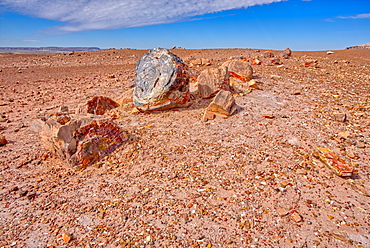 A shattered petrified log in a desolate area of Petrified Forest National Park, Arizona, United States of America, North America