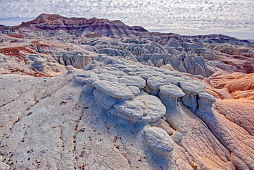 Mushroom shaped formations along the Blue Forest Trail in Petrified Forest National Park, Arizona, United States of America, North America