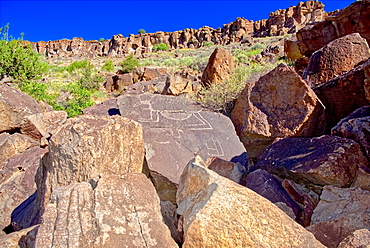 Petroglyph covered boulders on a slope in the Upper Verde River Wildlife Area in Paulden, Arizona, United States of America, North America