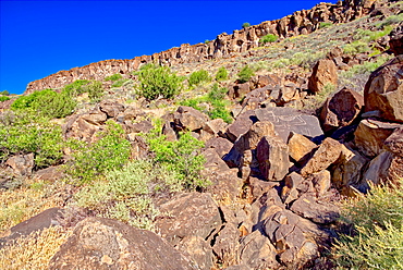 Petroglyph covered boulders on a slope in the Upper Verde River Wildlife Area in Paulden, Arizona, United States of America, North America