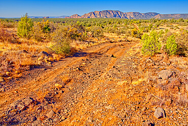 Rough road leading to the south rim of Rattlesnake Canyon southeast of Sedona in the Wet Beaver Wilderness, Arizona, United States of America, North America