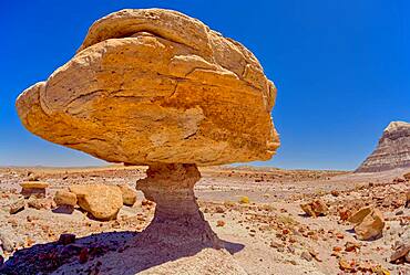 Balanced rock that resembles a toadstool, petrified wood scattered around the formation, Petrified Forest National Park, Arizona, United States of America, North America