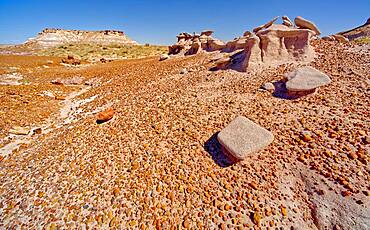 An eroded sandstone formation called a Sandcastle, below the Blue Mesa in Petrified Forest National Park, Arizona, United States of America, North America