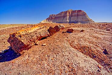 A Bentonite formation in Petrified Forest National Park near Crystal Forest called the Battleship, Arizona, United States of America, North America