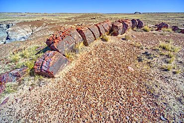 A petrified log along the trail to Martha's Butte in Petrified Forest National Park Arizona.