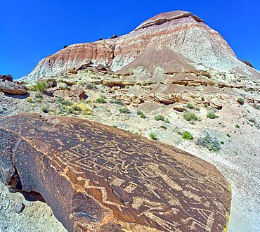 Ancient Indian petroglyphs on a boulder near Martha's Butte in Petrified Forest National Park Arizona.