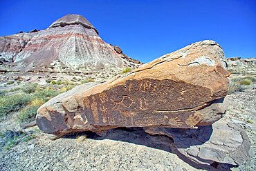 Ancient Indian petroglyphs on a boulder near Martha's Butte in Petrified Forest National Park Arizona.