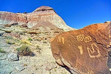 Ancient Indian petroglyphs on a boulder near Martha's Butte in Petrified Forest National Park Arizona.