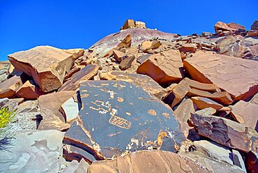 Ancient Indian petroglyphs on a boulder near Martha's Butte in Petrified Forest National Park Arizona.