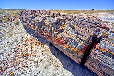 A petrified log along the trail to Martha's Butte in Petrified Forest National Park Arizona.