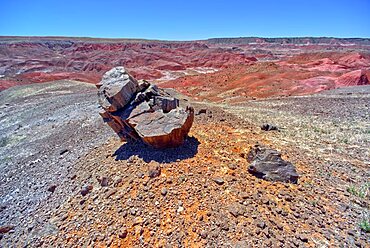 A petrified tree stump along the east rim of Tiponi Valley in Petrified Forest National Park Arizona.