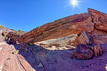 Onyx Bridge at Petrified Forest National Park, Arizona, United States of America, North America