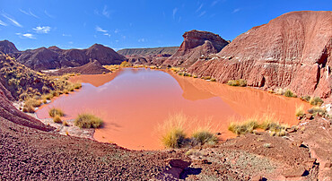 A marshy watering hole in Petrified Forest National Park Arizona called Tiponi Flats.