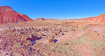 A field of shattered wood in Tiponi Canyon in Petrified Forest National Park Arizona.