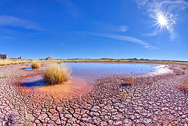 The shallow pond at Petrified Forest National Park Arizona called Dry Creek Tank along the Red Basin Trail.