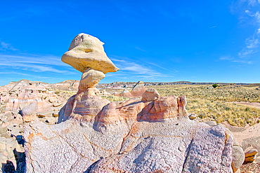 A rock hoodoo in Pharaoh's Garden at Petrified Forest Arizona that resembles a Duck head.