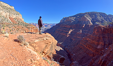 A hiker looking out from a cliff in Hermit Canyon at Grand Canyon, Grand Canyon National Park, UNESCO World Heritage Site, Arizona, United States of America, North America